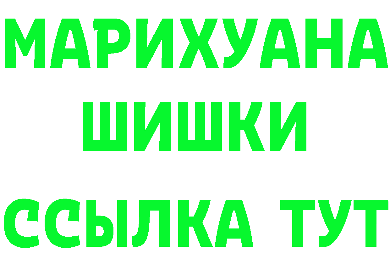 APVP СК КРИС сайт площадка MEGA Новозыбков